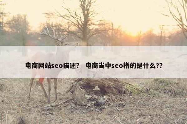 电商网站seo描述？ 电商当中seo指的是什么?？