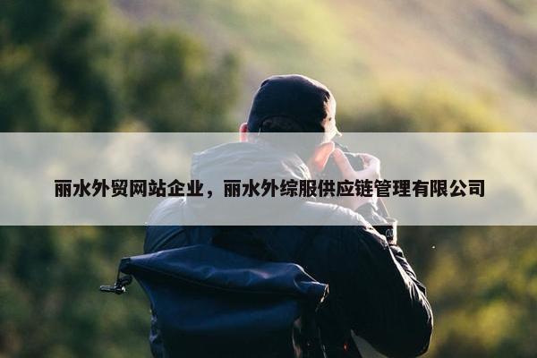 丽水外贸网站企业，丽水外综服供应链管理有限公司