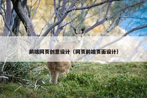 前端网页创意设计（网页前端页面设计）