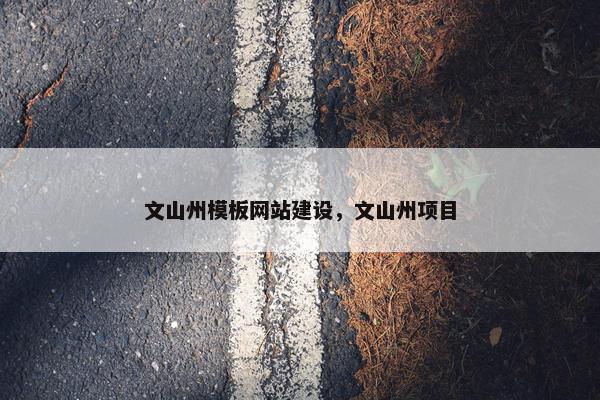 文山州模板网站建设，文山州项目