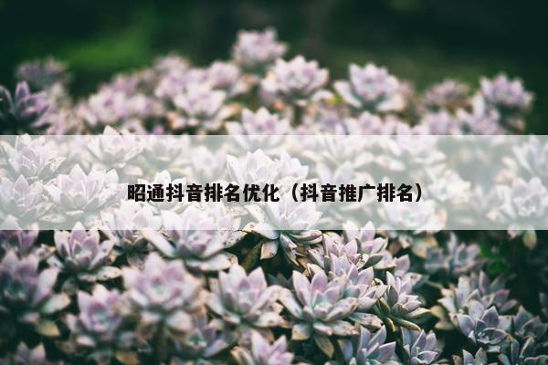昭通抖音排名优化（抖音推广排名）