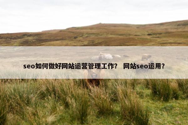 seo如何做好网站运营管理工作？ 网站seo运用？