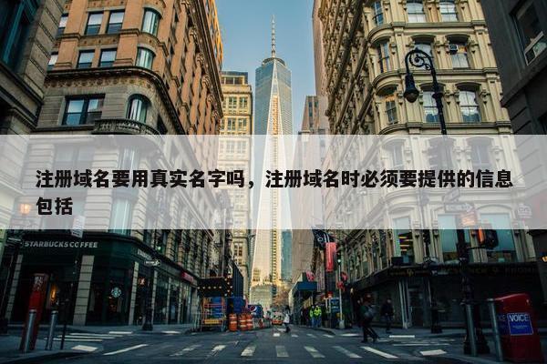 注册域名要用真实名字吗，注册域名时必须要提供的信息包括