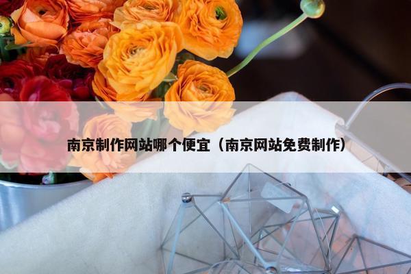 南京制作网站哪个便宜（南京网站免费制作）