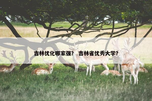 吉林优化哪家强？ 吉林省优秀大学？