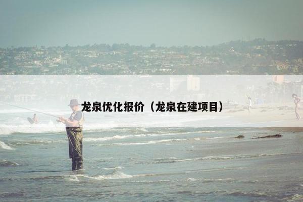 龙泉优化报价（龙泉在建项目）