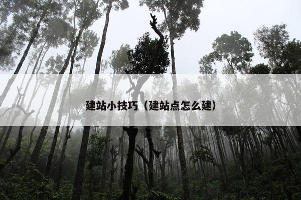 建站小技巧（建站点怎么建）