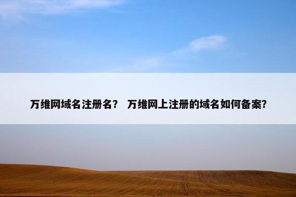 万维网域名注册名？ 万维网上注册的域名如何备案？
