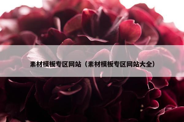 素材模板专区网站（素材模板专区网站大全）