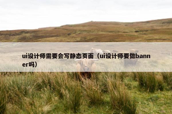 ui设计师需要会写静态页面（ui设计师要做banner吗）