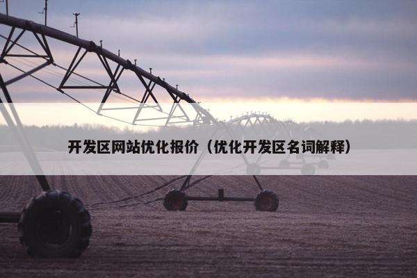 开发区网站优化报价（优化开发区名词解释）