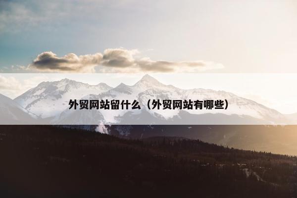外贸网站留什么（外贸网站有哪些）