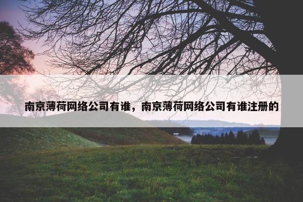 南京薄荷网络公司有谁，南京薄荷网络公司有谁注册的