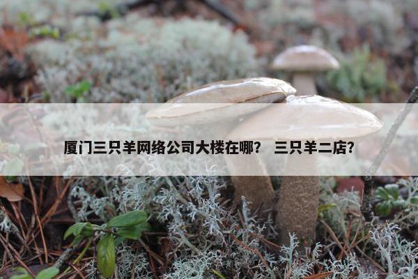 厦门三只羊网络公司大楼在哪？ 三只羊二店？