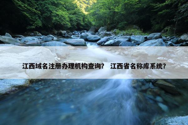 江西域名注册办理机构查询？ 江西省名称库系统？