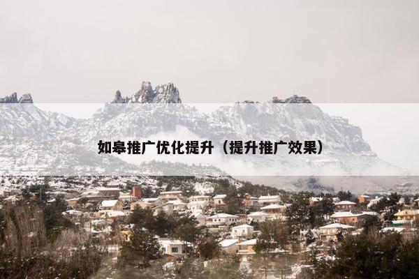 如皋推广优化提升（提升推广效果）