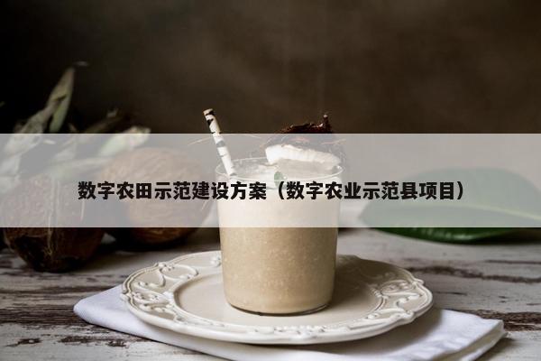数字农田示范建设方案（数字农业示范县项目）