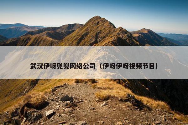 武汉伊呀兜兜网络公司（伊呀伊呀视频节目）