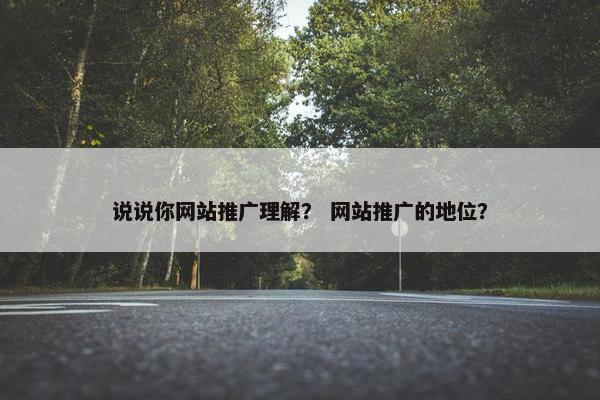 说说你网站推广理解？ 网站推广的地位？