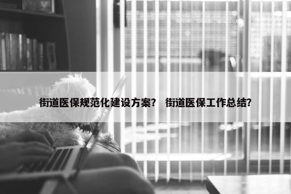 街道医保规范化建设方案？ 街道医保工作总结？