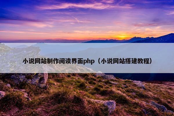 小说网站制作阅读界面php（小说网站搭建教程）