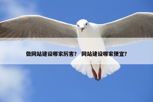 做网站建设哪家厉害？ 网站建设哪家便宜？