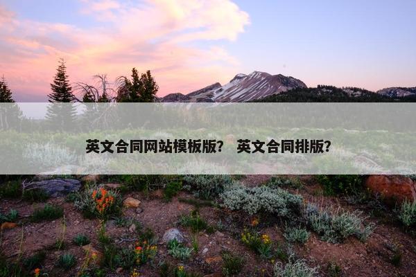 英文合同网站模板版？ 英文合同排版？