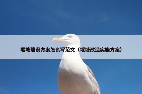 堰塘建设方案怎么写范文（堰塘改造实施方案）