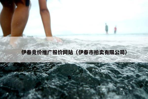 伊春竞价推广报价网站（伊春市拍卖有限公司）