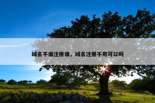 域名不谁注册谁，域名注册不用可以吗