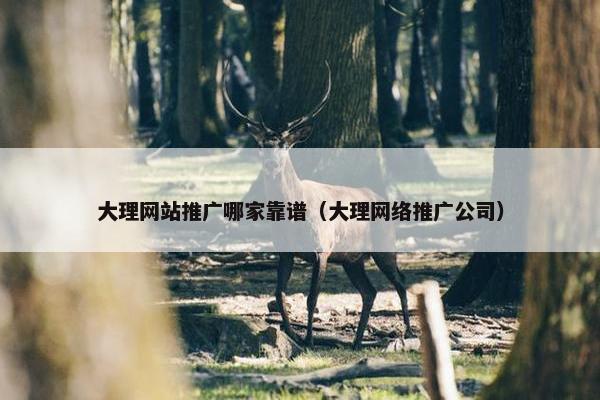 大理网站推广哪家靠谱（大理网络推广公司）