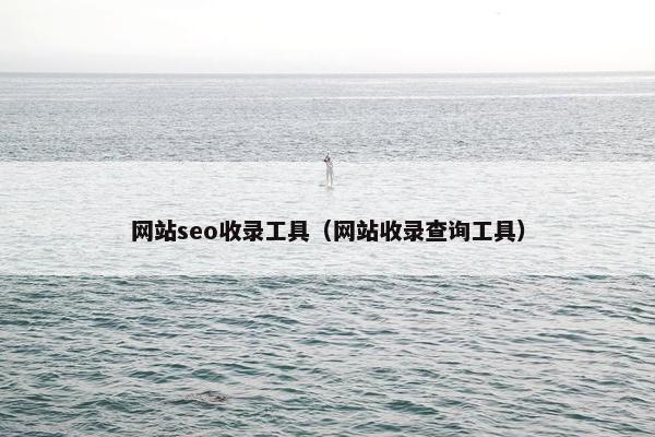 网站seo收录工具（网站收录查询工具）