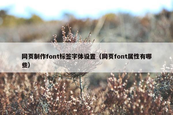 网页制作font标签字体设置（网页font属性有哪些）