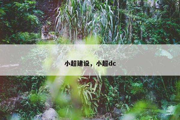 小超建设，小超dc