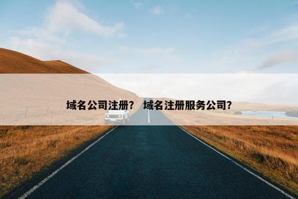 域名公司注册？ 域名注册服务公司？
