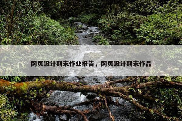 网页设计期末作业报告，网页设计期末作品