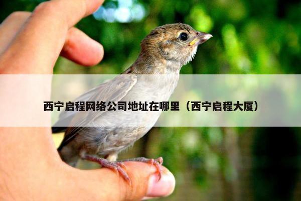 西宁启程网络公司地址在哪里（西宁启程大厦）