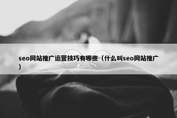 seo网站推广运营技巧有哪些（什么叫seo网站推广）