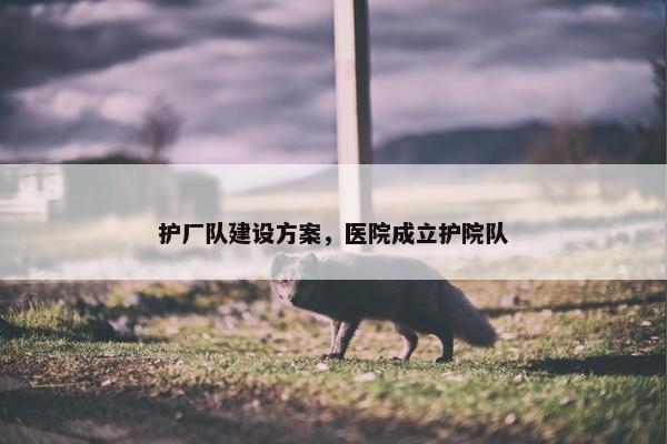 护厂队建设方案，医院成立护院队