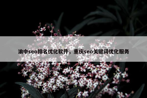 渝中seo排名优化软件，重庆seo关键词优化服务