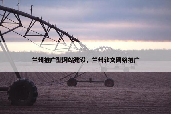兰州推广型网站建设，兰州软文网络推广