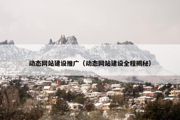 动态网站建设推广（动态网站建设全程揭秘）