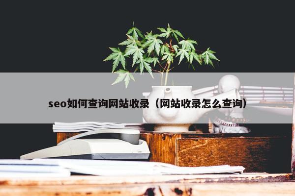 seo如何查询网站收录（网站收录怎么查询）