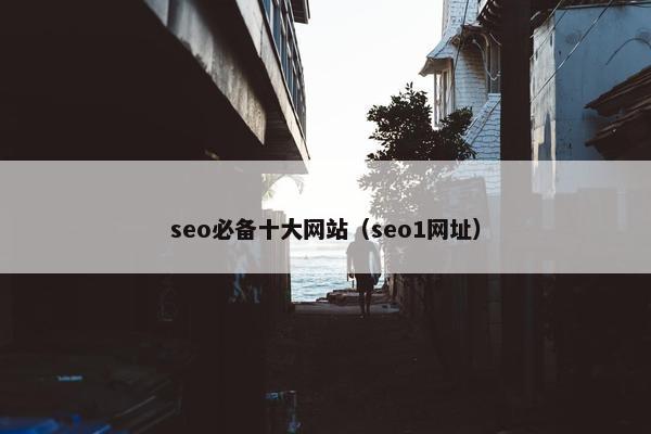 seo必备十大网站（seo1网址）