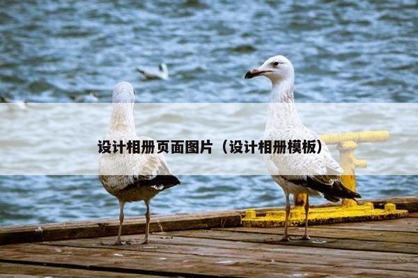 设计相册页面图片（设计相册模板）