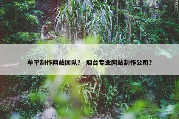 牟平制作网站团队？ 烟台专业网站制作公司？