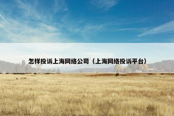 怎样投诉上海网络公司（上海网络投诉平台）