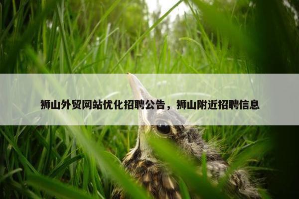 狮山外贸网站优化招聘公告，狮山附近招聘信息