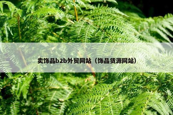 卖饰品b2b外贸网站（饰品货源网站）
