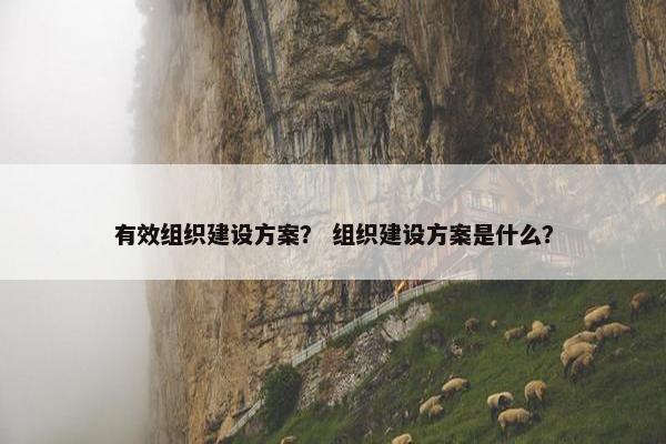 有效组织建设方案？ 组织建设方案是什么？